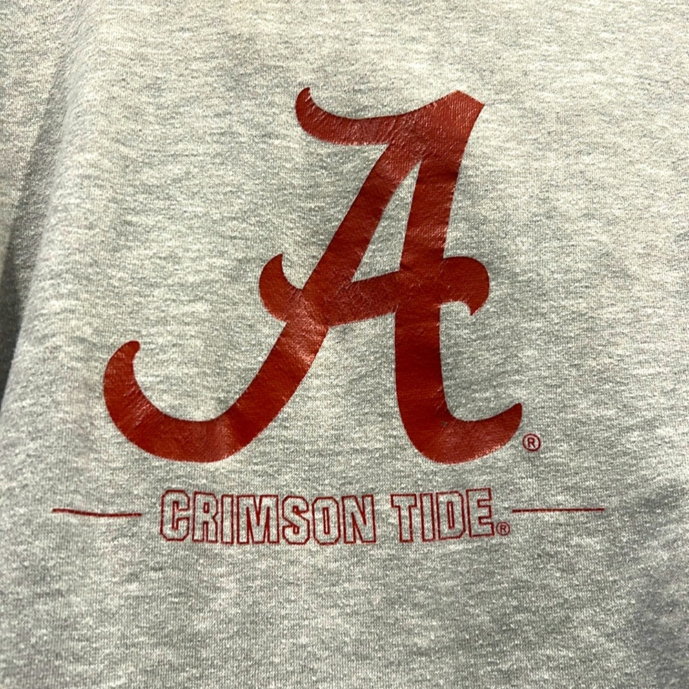 Boys Alabama Crimson Tide Hoodie, Size Youth XL(18-20) Light Grey/Crimson - Picture 2 of 8